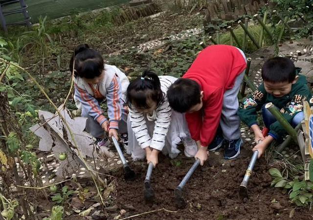 西安市灞桥区狄寨中心幼儿园香菜日记