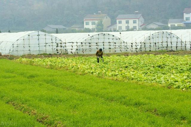 10月起，农村承包地合同的新变革，机会不能错过！