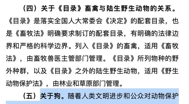 狗肉，该不该禁？可能根本就没有标准答案