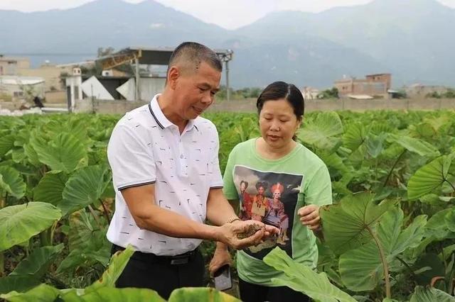 今年，厦门集美这些村居将身价暴涨！