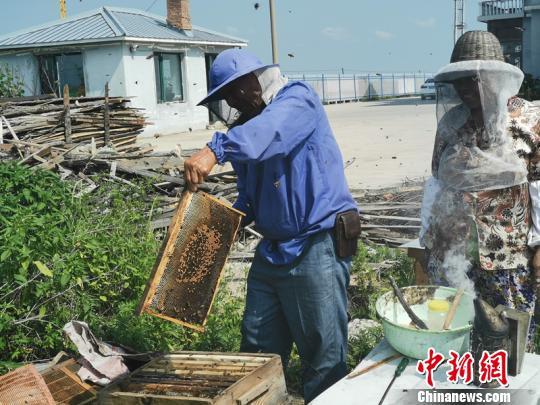 饶河东北黑蜂养殖标准化示范区通过国家验收