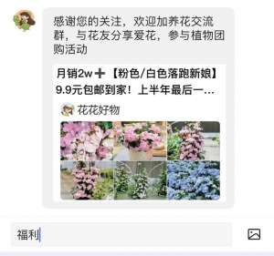 花养殖方法(如何正确养护吊兰？这几招保你吊兰青翠欲滴)