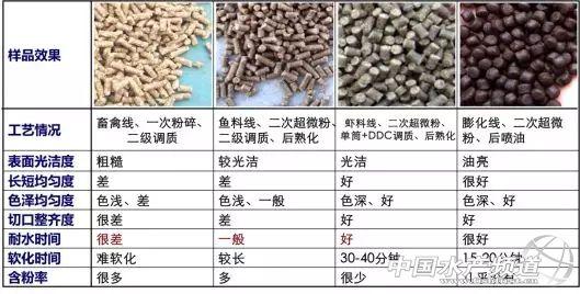 池塘精养小龙虾必须做好这四个关键点