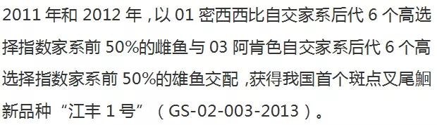 从“外来户”到“本地鱼”，斑点叉尾鮰的发展之路“一波多折”