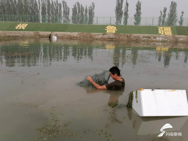 跨越山海鲁疆情深｜山东援疆干部撰写双语“秘籍” 助新疆沙漠养殖“澳龙”