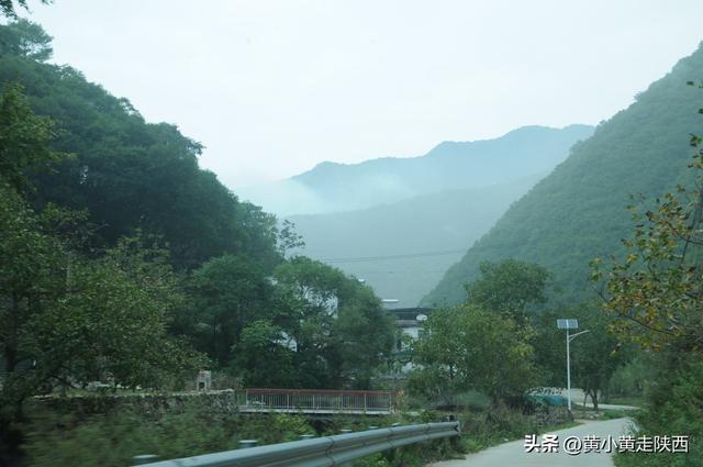 美到心动！遇见秦岭古树下的百年老宅，院内种着“七叶一枝花”