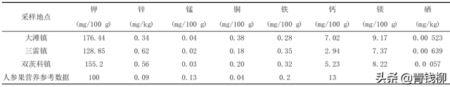 北方地区日光温室人参果栽培技术