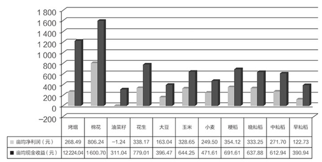 烟草大省，何去何从？