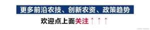 党参种植几年收获(土党参优质栽培技术及经济效益分析)