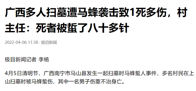 1人遇难！广西村民扫墓被胡蜂蛰刺80多针，背后是疯狂的蜂巢产业