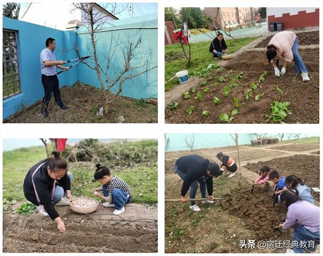 “亲自然，趣种植” ——泗洪县城头实验学校幼儿园