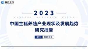 生猪养殖客户分析(2023年中国生猪养殖产业现状及发展趋势研究报告-55页附下载)