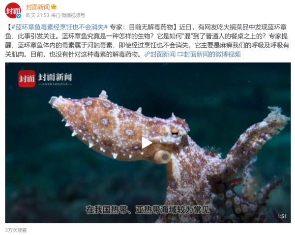 又是蓝环章鱼？网友称在超市买到，剧毒生物如何流入市场？