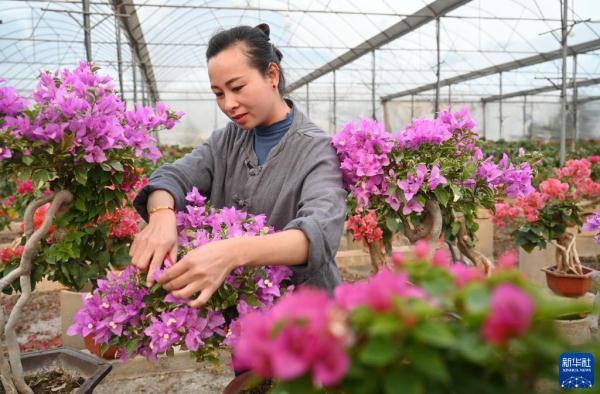 漳州“三花”香飘海外