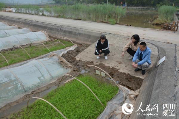 四川荣县观山镇：兄弟二人齐上阵 流转荒地养殖小龙虾