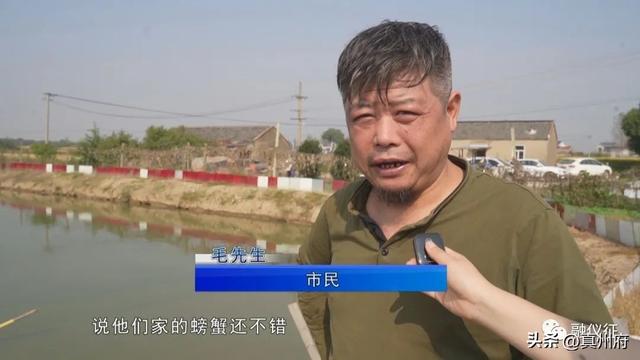 仪征这个50亩养殖基地，螃蟹产量达10000斤！