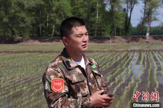 黑龙江“精准”种植 让黑土地“增值”