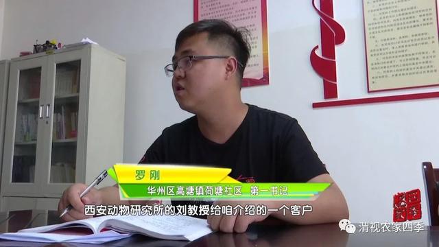 华州区高塘镇：“鼠”来的“致富宝”