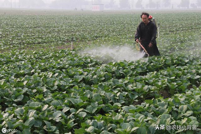 枯草芽孢杆菌用的好，在改良土壤、防治病害、作物增产是个宝