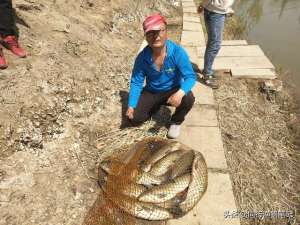 大规格草鱼养殖密度(黑坑开始放钓5至10斤的草鱼了，一份黑坑草鱼攻略送给迷茫的你)