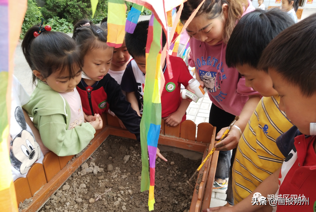 小菜园 乐发现——朔城区第四幼儿园种植园生长记