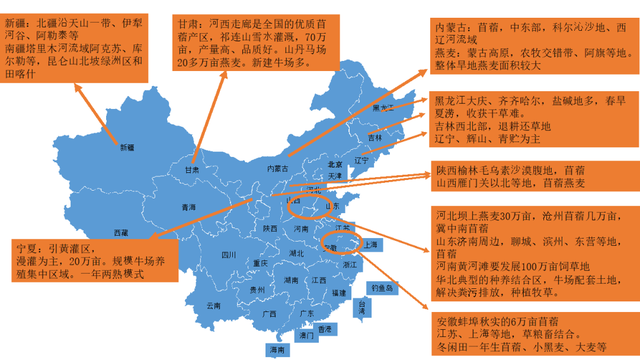 李鸿强：2021我国苜蓿草&燕麦草生产面临的挑战和机遇