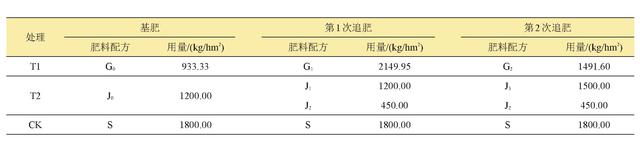 冬天来啦，如何在家盆栽营养又健康的猕猴桃？