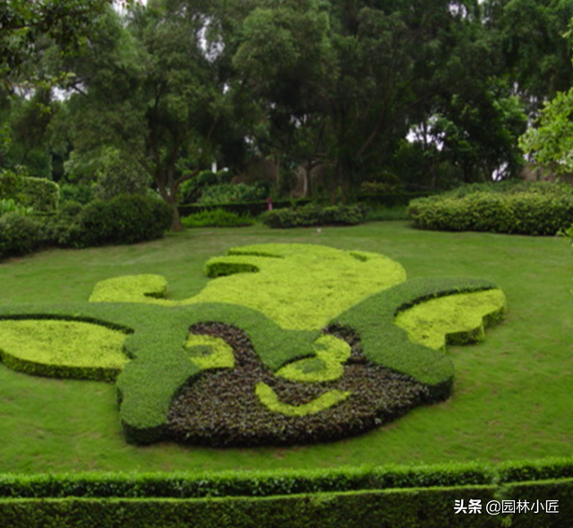 植物景观设计中，“花坛”植物选择、种植要点以及案例欣赏