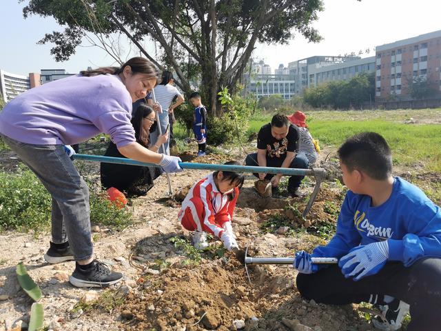 从播种收获到做成菜肴，广州花都这所学校打造班级“种植园地”