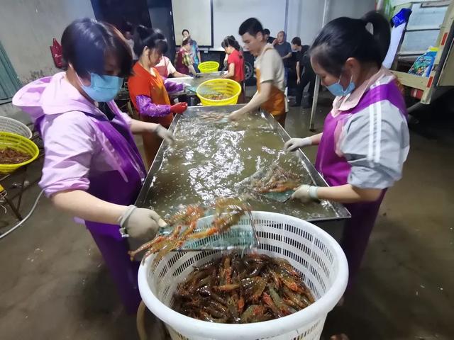 每天20万斤“鲜”行上市！很多青岛人爱吃