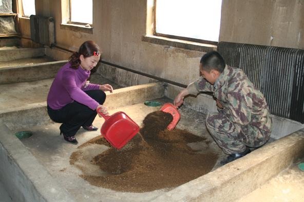 送给养殖鱼虾的中国农民5种成本低、效益高的动物饵料