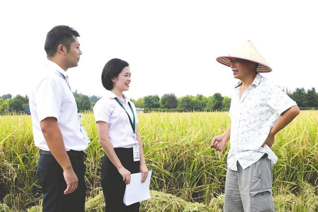 成都农商银行推出四川首个林业生产经营服务设施抵押贷款模式