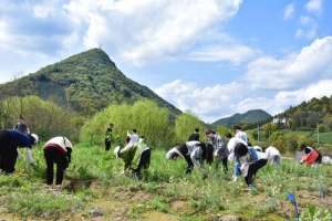 学中药种植(亲身体验中草药栽培过程 浙江中医药大学探索教育新模式)