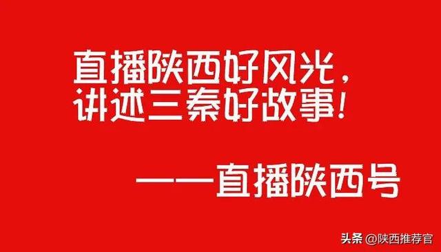 陕西蒲城尧山镇太睦村：红提葡萄成熟上市，金秋好“丰”景