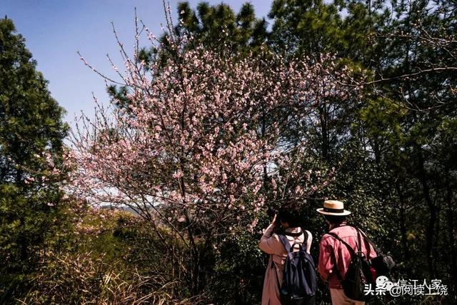 上饶这地有座千年山岩古寺已经经历第48代