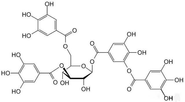 从土壤物质成分到“身世”线索，红缨子糯高粱如何成为酱酒原料？