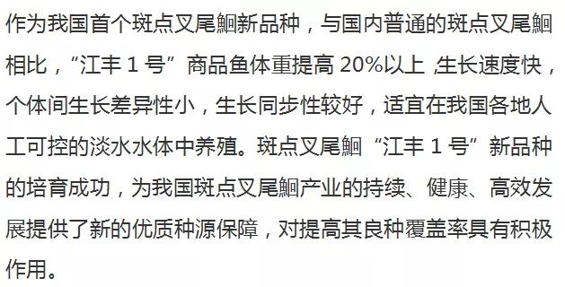 从“外来户”到“本地鱼”，斑点叉尾鮰的发展之路“一波多折”