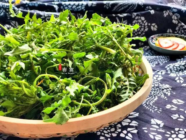 “咬春”时节，这些野菜鲜到没朋友，还是春季养生的佳品，不容错过！