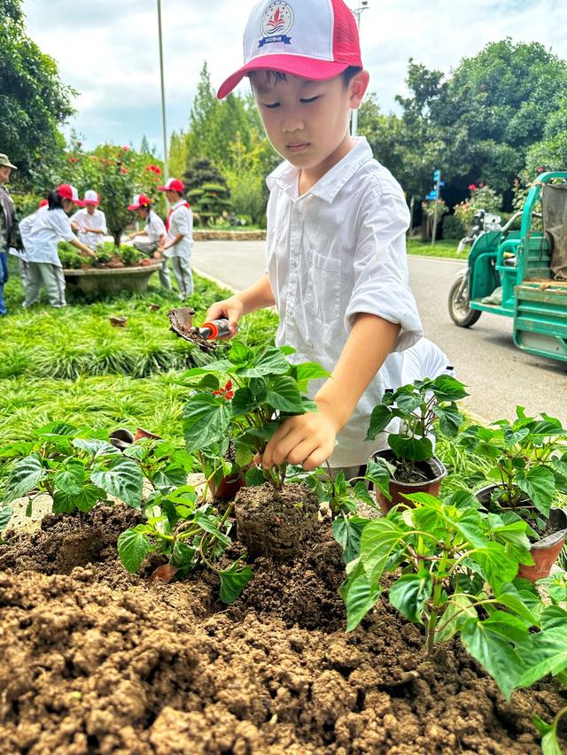 小学生走进公园，亲手种植近百盆植物