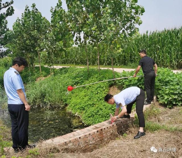 商丘市生态环境局夏邑分局联合畜牧局及乡镇整治汛期畜禽养殖污染