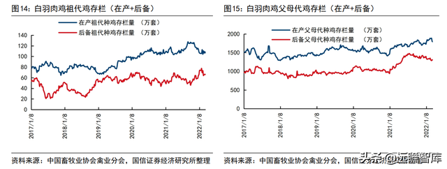 猪周期深度报告：启动周期反转，决胜养殖布局