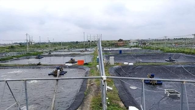 2010年，广东男子花13万进口81吨美国海水，1年后赚得盆满钵满