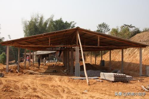 养殖土鸡鸡舍建造，你是处于哪个养殖规模，你的鸡舍建造是否达标