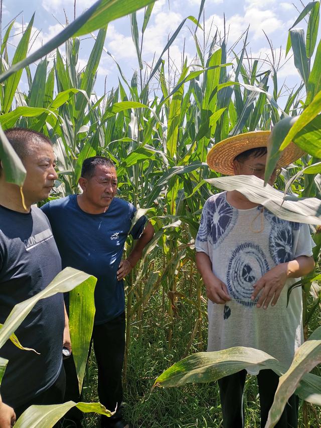 发展生态农业可促进全民共同富裕