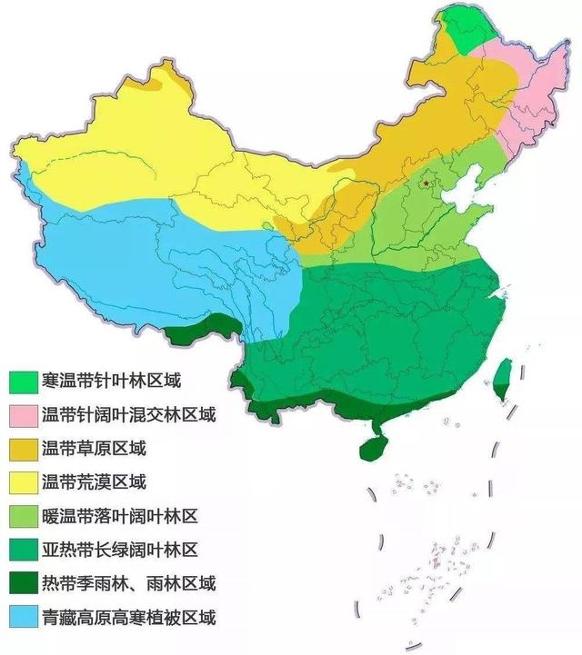 我的祖国之自然地理：优越地理位置，多样植被类型，肥沃东北黑土