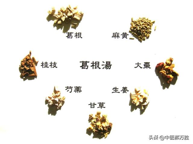 郝大夫说葛根：保护心脑血管，养肝护肝！作用全面的中药本草