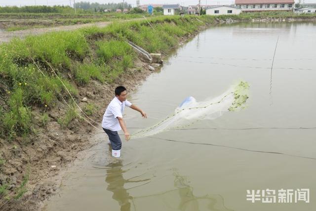 开海寻鲜记②｜海水养殖，青岛秘笈“惊动”农业农村部