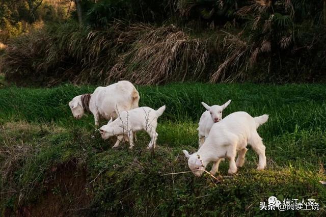 上饶这地有座千年山岩古寺已经经历第48代