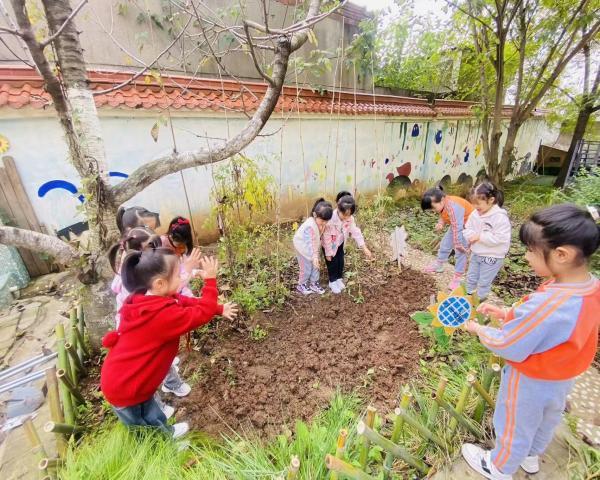 西安市灞桥区狄寨中心幼儿园香菜日记