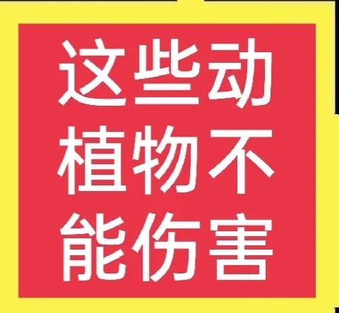 请注意：这些动植物，在农村很常见，但是它们都是受保护的